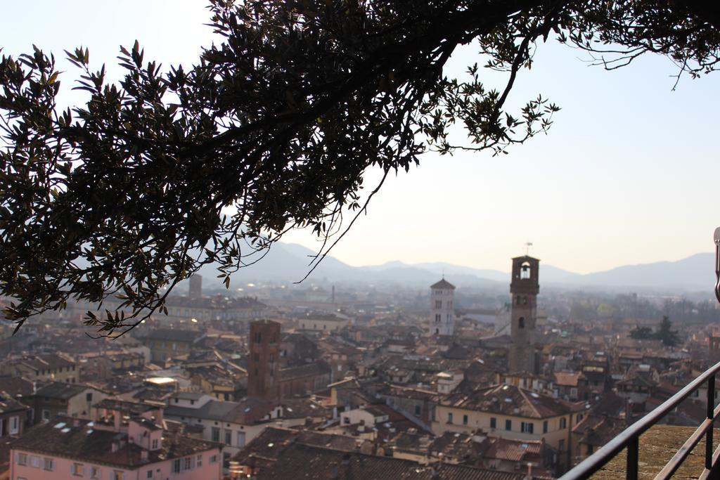 La Terrazza Da Ernestina Lejlighed Lucca Eksteriør billede