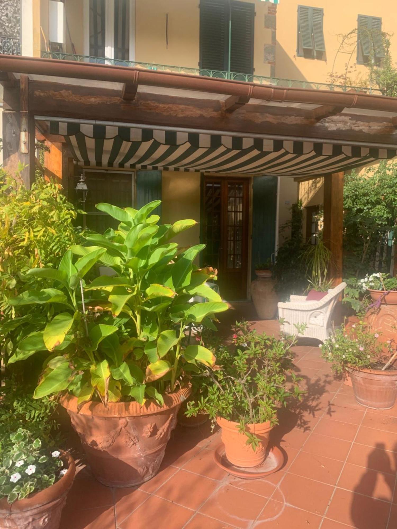 La Terrazza Da Ernestina Lejlighed Lucca Eksteriør billede