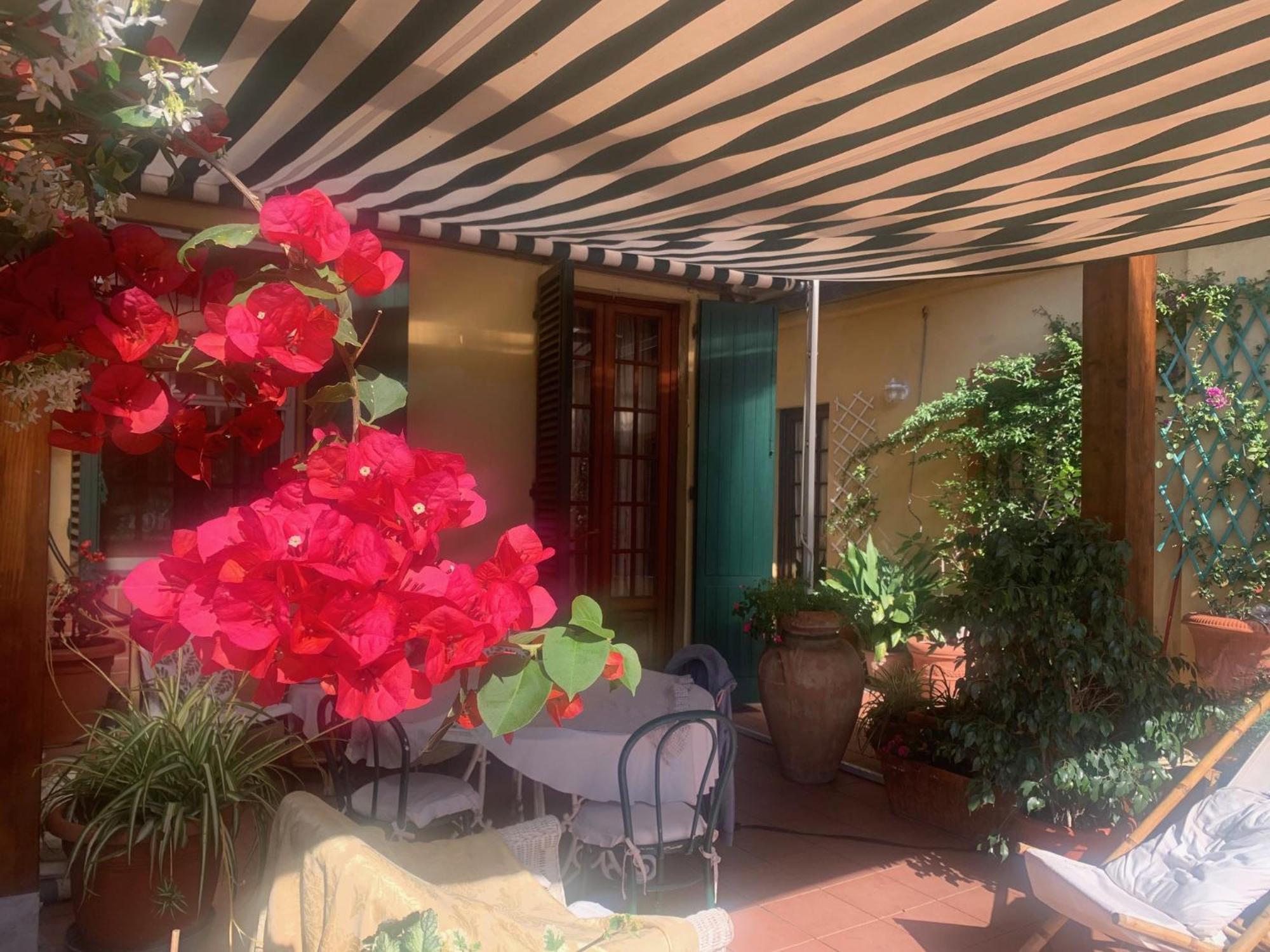 La Terrazza Da Ernestina Lejlighed Lucca Eksteriør billede