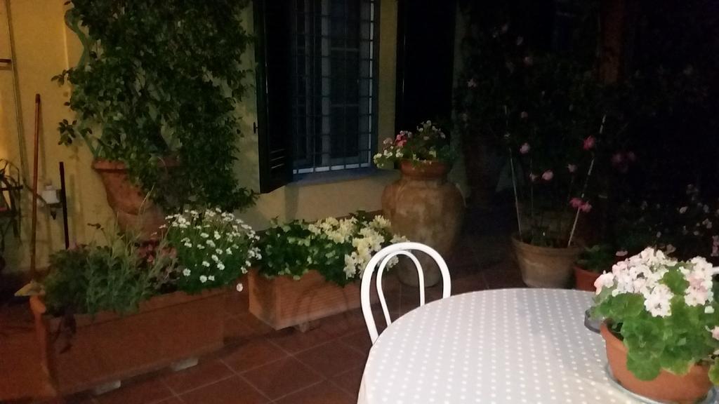 La Terrazza Da Ernestina Lejlighed Lucca Eksteriør billede